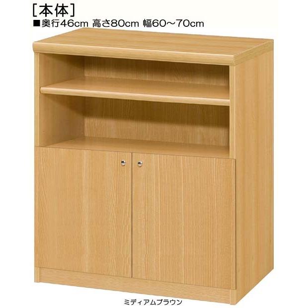 下部扉 標準棚板 屋根裏収納 高さ８０ｃｍ幅６０〜７０ｃｍ奥行４６ｃｍ 下扉高さ41.5cm A4ファイルディスプレイ 10色 玄関 整理