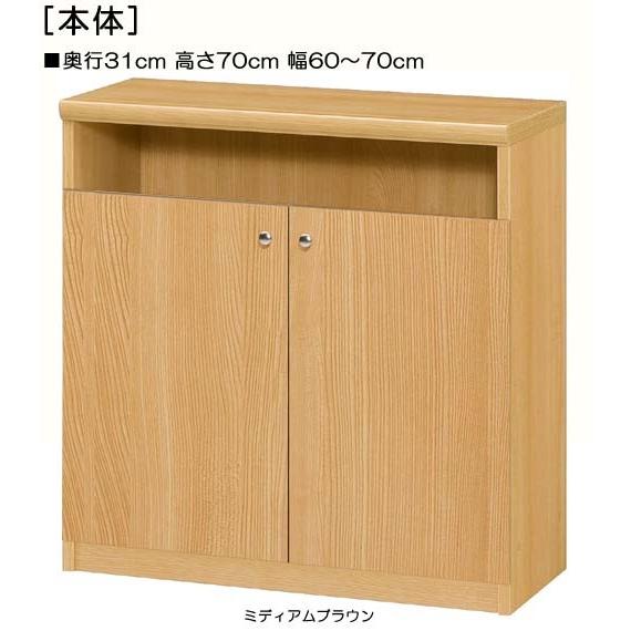 下部扉 標準棚板 子供部屋収納 高さ７０ｃｍ幅６０〜７０ｃｍ奥行３１ｃｍ 下扉高さ52.5cm ゲームソフト棚 F★★★★ リビング 整理