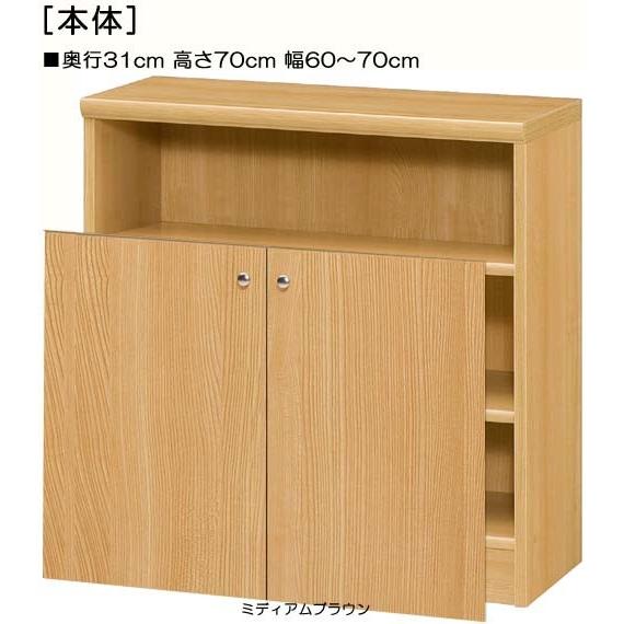 下部扉 標準棚板 子供部屋収納 高さ７０ｃｍ幅６０〜７０ｃｍ奥行３１ｃｍ 下扉高さ52.5cm ゲームソフト棚 F★★★★ リビング 整理_1