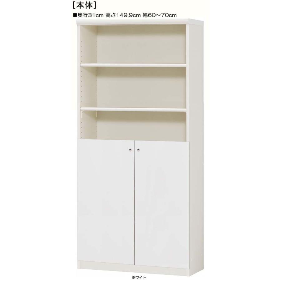 下部扉 標準棚板 クローゼット 高さ１４９．９ｃｍ幅６０〜７０ｃｍ奥行３１ｃｍ 下扉高さ72.5cm 雑誌シェルフ 棚移動可 集会所 保管