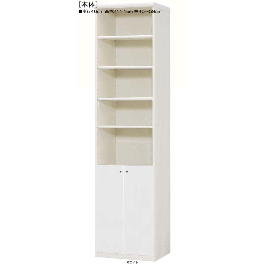 下部扉 標準棚板 壁面収納 高さ211．1cm幅45〜59cm奥行