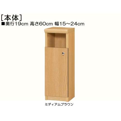 下部扉 隙間飾り棚 高さ６０ｃｍ幅１５〜２４ｃｍ奥行１９ｃｍ厚棚板（棚板厚み2.5cm） 下扉高さ41.5cm ゲームソフトシェルフ 台所