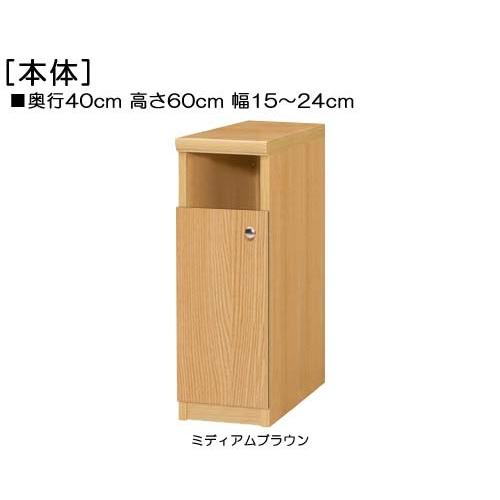 下部扉 扉付き頑丈本箱 高さ６０ｃｍ幅１５〜２４ｃｍ奥行４０ｃｍ厚棚板（棚板厚み2.5cm） 下扉高さ41.5cm カタログシェルフ 店舗