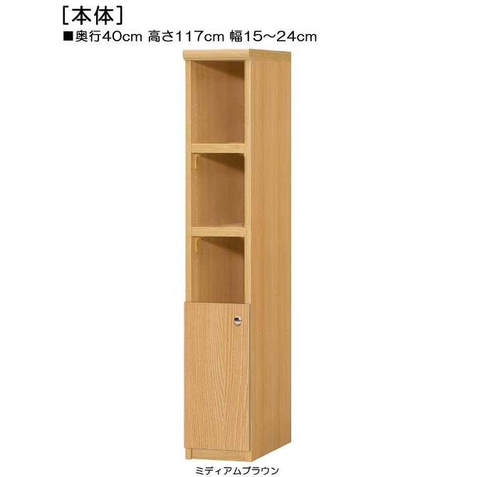 下部扉 扉付隙間収納ストッカー 高さ１１７ｃｍ幅１５〜２４ｃｍ奥行４０ｃｍ厚棚板（棚板厚み2.5cm） 下扉高さ41.5cm レコード家具 学校