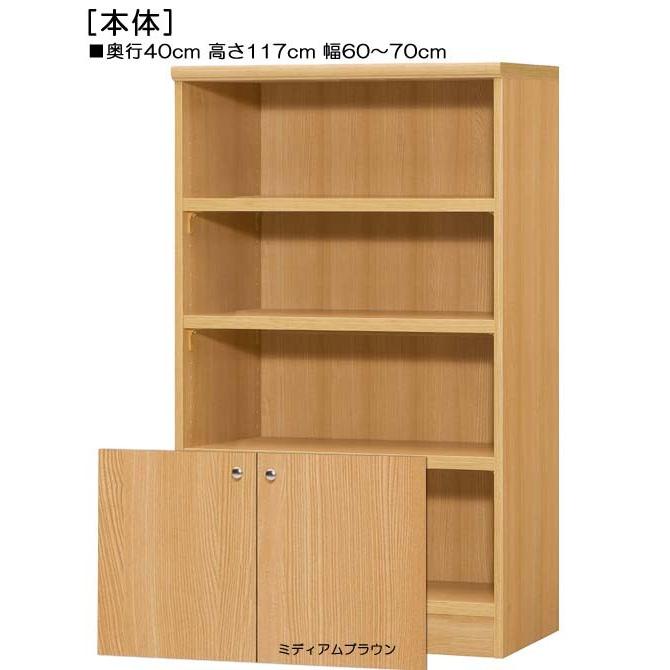 下部扉 扉付簡単組立チェスト 高さ１１７ｃｍ幅６０〜７０ｃｍ奥行４０ｃｍ厚棚板（棚板厚み2.5cm） 下扉高さ41.5cm コミックボード 書斎 5cm 下部扉