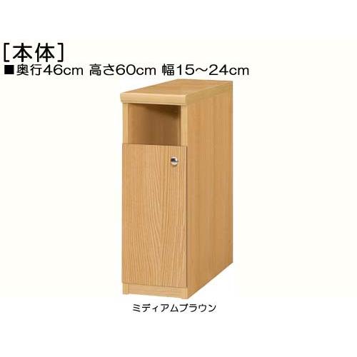 下部扉 隙間収納 高さ６０ｃｍ幅１５〜２４ｃｍ奥行４６ｃｍ厚棚板（棚板厚み2.5cm） 下扉高さ41.5cm シリーズ本収納 塾