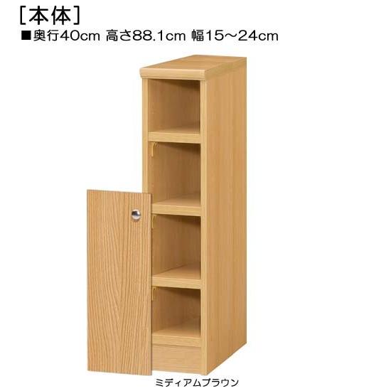 下部扉 マガジンラック 高さ８８．１ｃｍ幅１５〜２４ｃｍ奥行４０ｃｍ厚棚板（棚板厚み2.5cm） 下扉高さ52.5cm 書類家具 ウォークインクローゼットの画像
