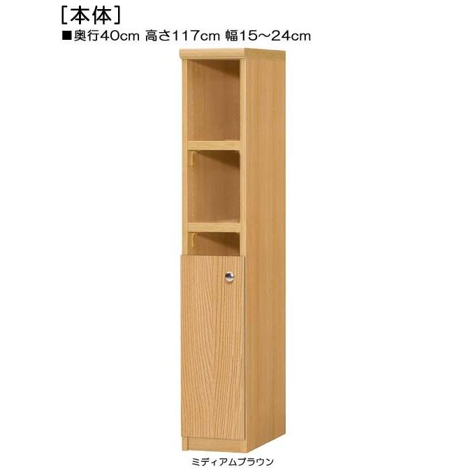 下部扉 マガジンラック 高さ１１７ｃｍ幅１５〜２４ｃｍ奥行４０ｃｍ厚棚板（棚板厚み2.5cm） 下扉高さ52.5cm 洋服ボード キッチン