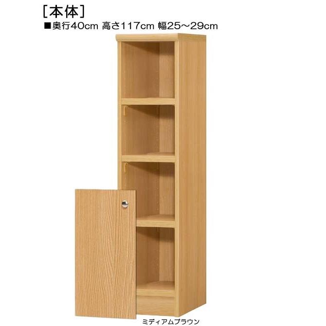 下部扉 マガジンラック 高さ１１７ｃｍ幅２５〜２９ｃｍ奥行４０ｃｍ厚棚板（棚板厚み2.5cm） 下扉高さ52.5cm アメニティラック 書斎の画像