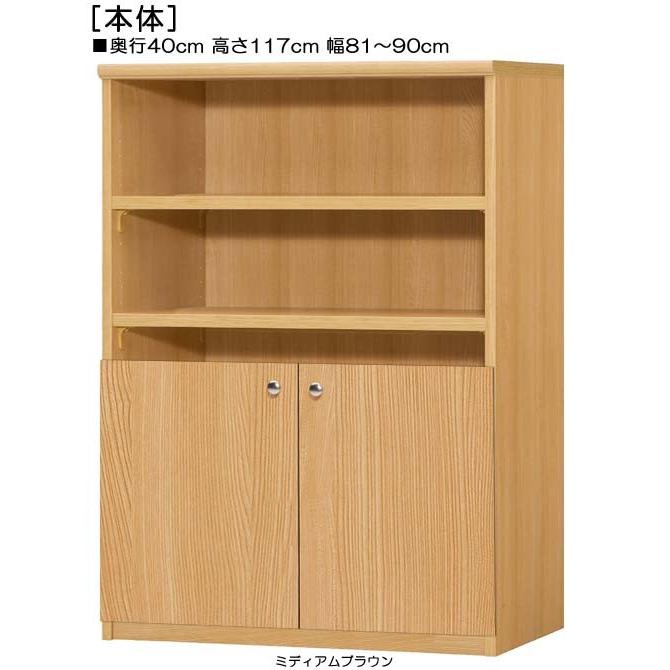 下部扉 A4ファイル書庫 高さ１１７ｃｍ幅８１〜９０ｃｍ奥行４０ｃｍ厚棚板（棚板厚み2.5cm） 下扉高さ52.5cm DVDラック 納戸