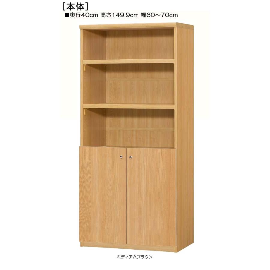 下部扉 A4ファイル書庫 高さ１４９．９ｃｍ幅６０〜７０ｃｍ奥行４０ｃｍ厚棚板（棚板厚み2.5cm） 下扉高さ62.6cm 付録本棚 学校