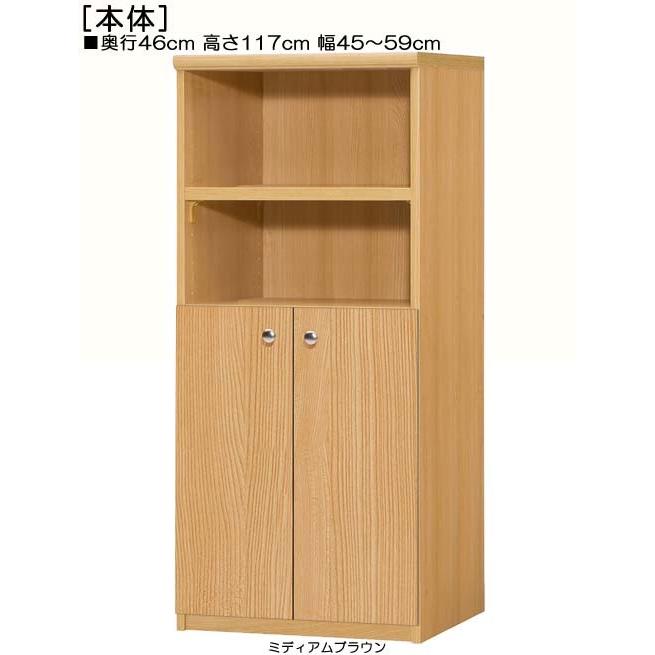 下部扉 書庫 高さ１１７ｃｍ幅４５〜５９ｃｍ奥行４６ｃｍ厚棚板（棚板厚み2.5cm） 下扉高さ62.6cm シリーズ本収納 塾