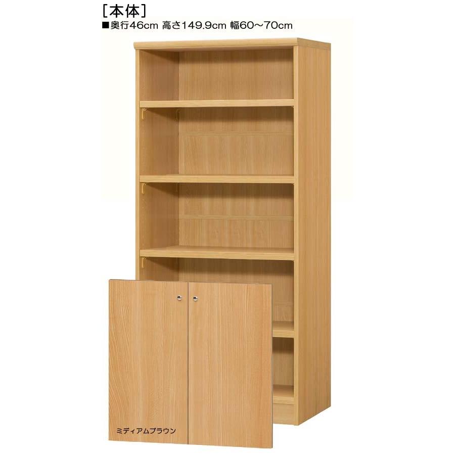下部扉 オフィス書庫 高さ１４９．９ｃｍ幅６０〜７０ｃｍ奥行４６ｃｍ厚棚板（棚板厚み2.5cm） 下扉高さ62.6cm 飾りシェルフ ダイニング |  | 01