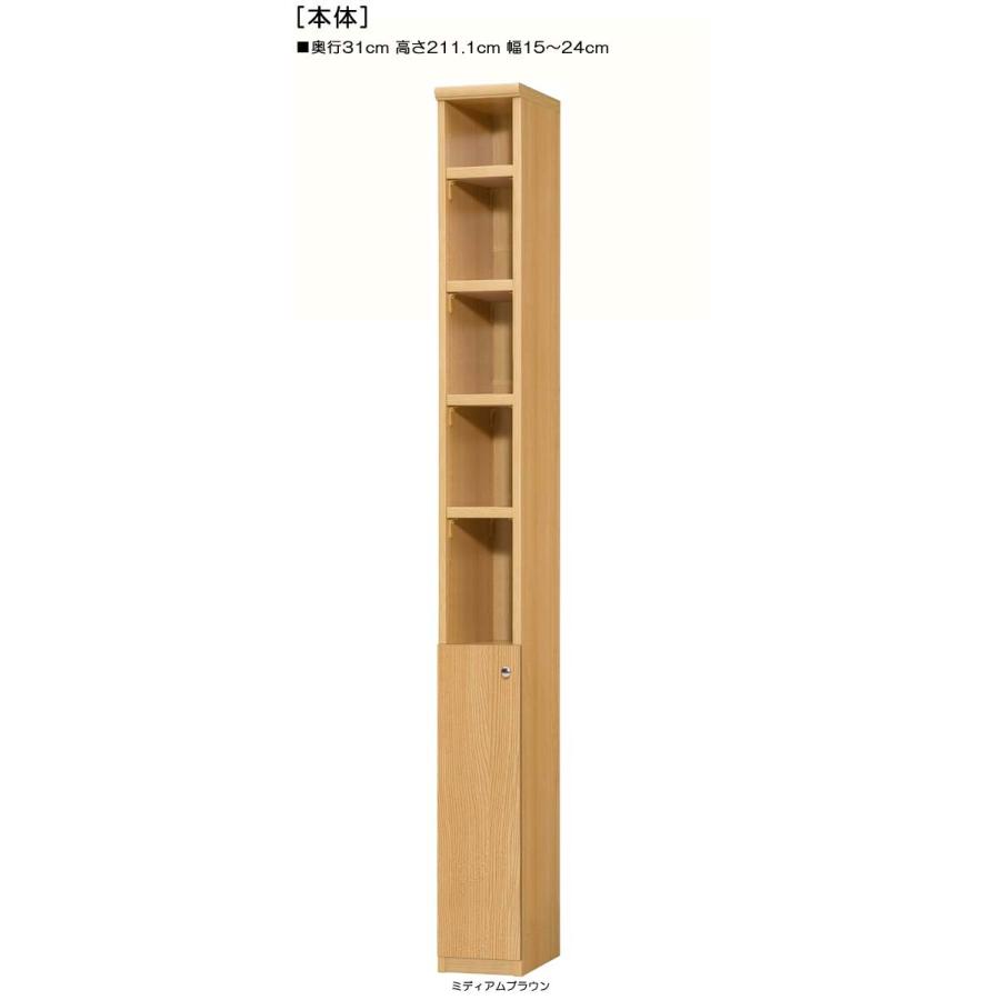 召し使い扉 壁面書庫 高さ２１１．１ｃｍ幅１５〜２４ｃｍ奥ふかさ３１ｃｍ厚棚板（棚板奥ふかさ2.5珊） 下扉高さ72.5珊 スクラップブック棚 事務室 家具、インテリア-ラック、シェルフ、本棚