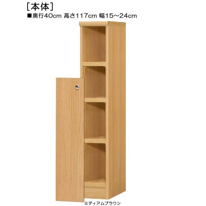 下部扉 マガジンラック 高さ１１７ｃｍ幅１５〜２４ｃｍ奥行４０ｃｍ厚棚板（棚板厚み2.5cm） 下扉高さ80.8cm コレクションラック トイレの画像