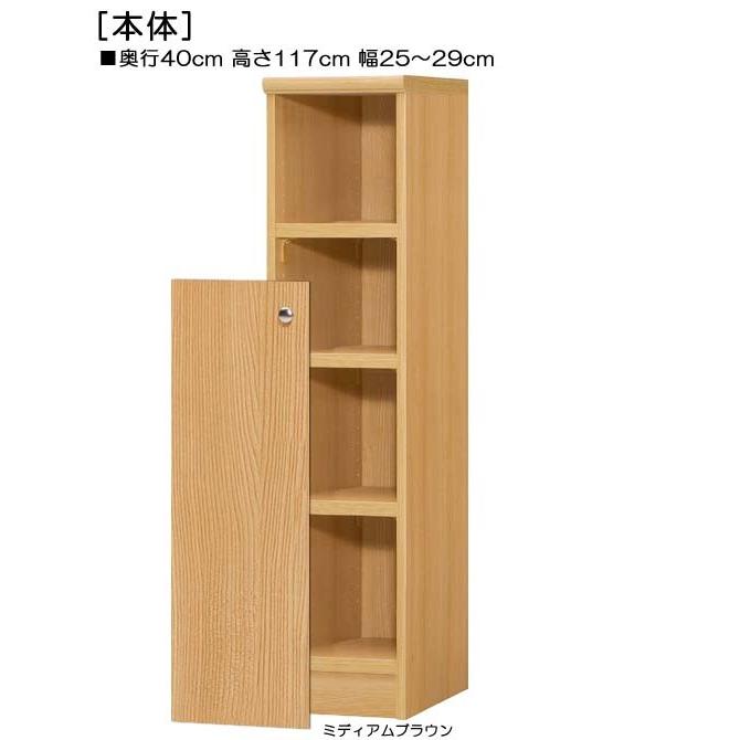 下部扉 マガジンラック 高さ１１７ｃｍ幅２５〜２９ｃｍ奥行４０ｃｍ厚棚板（棚板厚み2.5cm） 下扉高さ80.8cm ブルーレイラック 応接間の画像