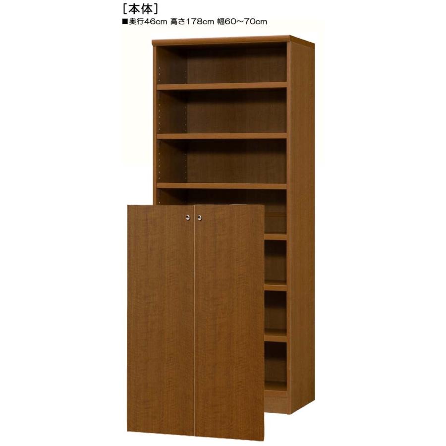 下部扉 オフィス書庫 高さ１７８ｃｍ幅６０〜７０ｃｍ奥行４６ｃｍ厚棚板（棚板厚み2.5cm） 下扉高さ109.5cm 書籍シェルフ ロビーの画像