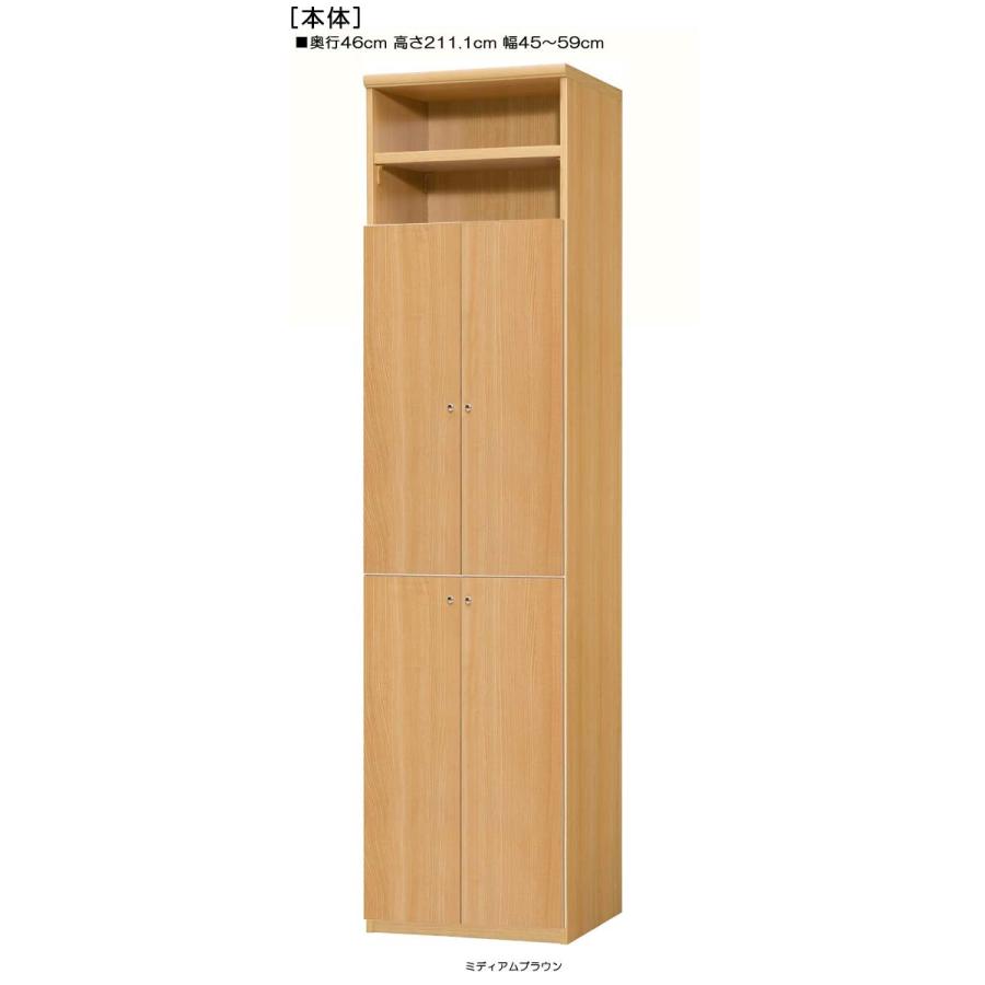 下部扉 壁収納 高さ２１１．１ｃｍ幅４５〜５９ｃｍ奥行４６ｃｍ厚棚板（棚板厚み2.5cm） 下扉高さ170.2cm 全集収納 店舗