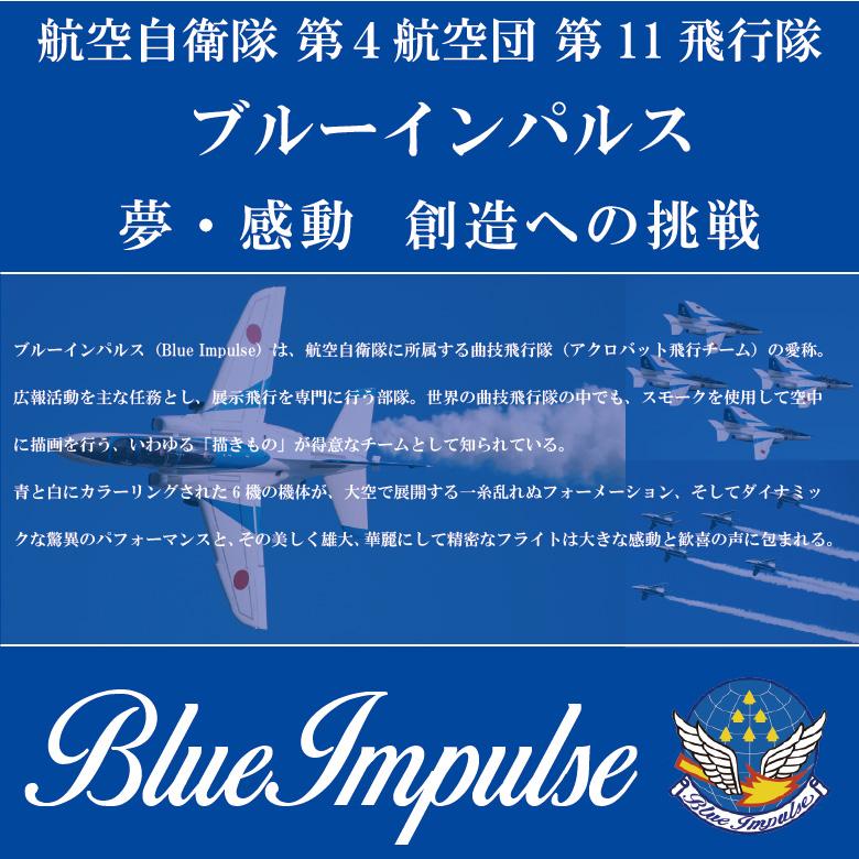 航空自衛隊 ブルーインパルス T-4 ストラップ JASDF BlueImpulse Strap