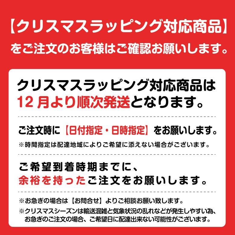 クリスマス ラッピング 対応 リアルサウンド ジェット ANA 全日空 BOEING 787 エアライン 航空 飛行機 ひこうき おもちゃ グッズ アイテム プレゼント 誕生日 |  | 11