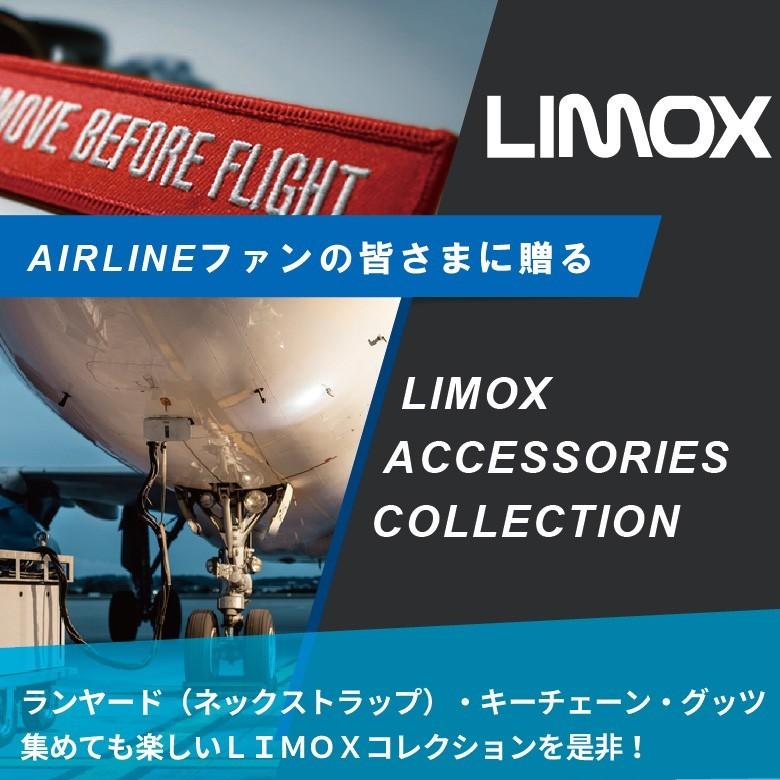 LIMOX キーチェーン フライトタグ ボーイング ロゴ Boeing REMOVE