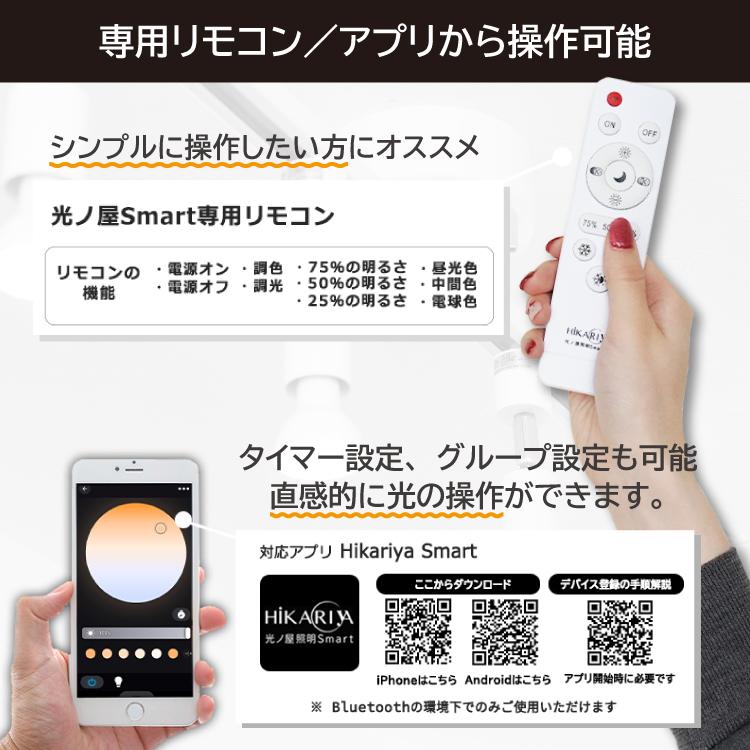 4個セット 電球・リモコン付き スポットライト E11 ダクトレール用 調