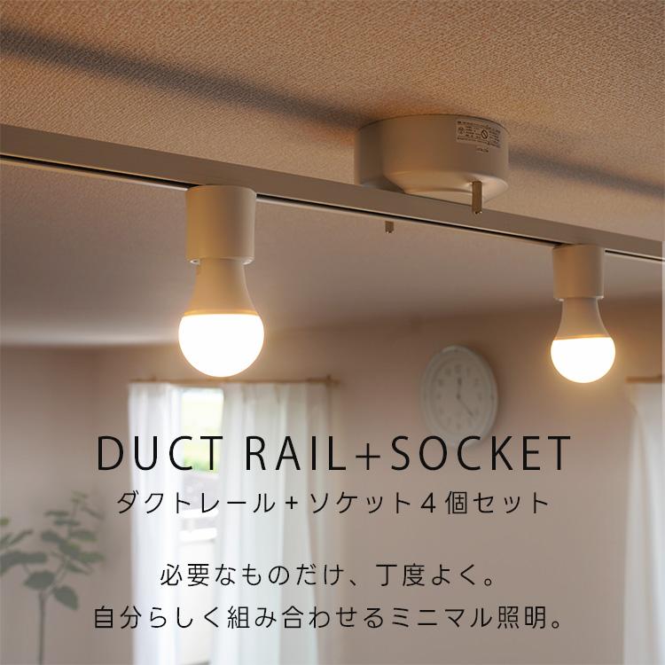 RAIL-spotlight シーリングライト 4灯 LED 対応 工事不要 真鍮 天井