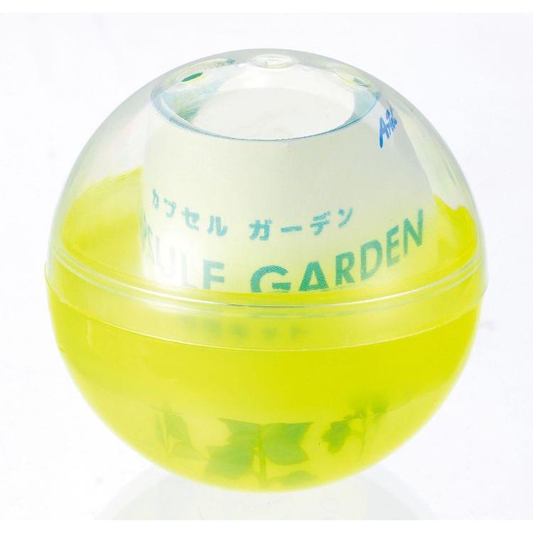 GARDEN ガーデン　3枚セット　まとめ売り カプセルガーデンBOXセット : 手芸問屋ウイングス - 通販 - Yahoo