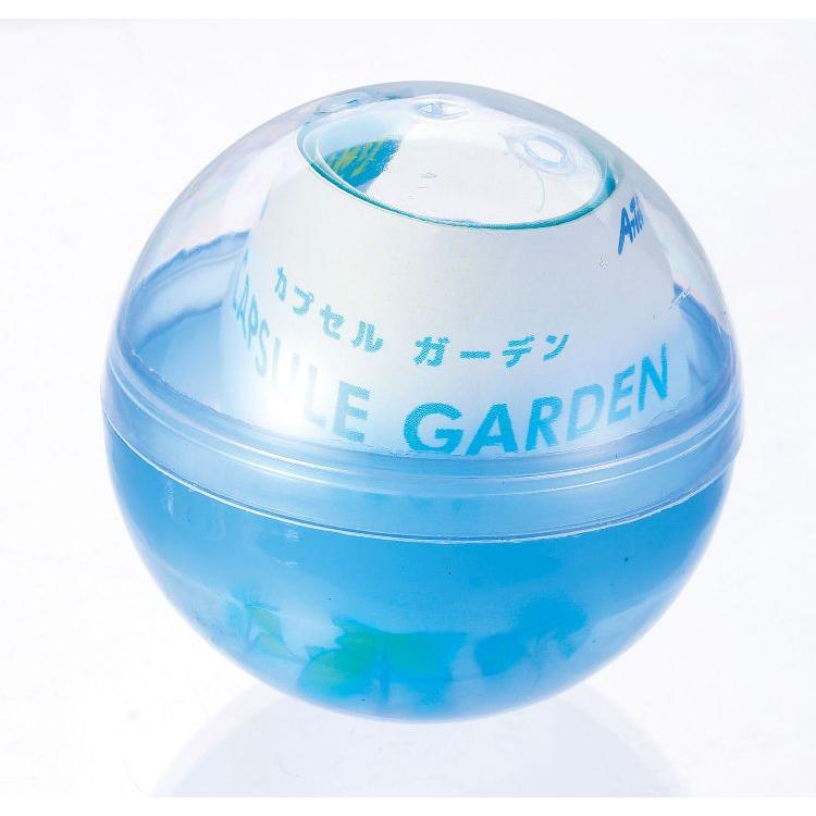 カプセルガーデンBOXセット : 手芸問屋ウイングス - 通販 - Yahoo