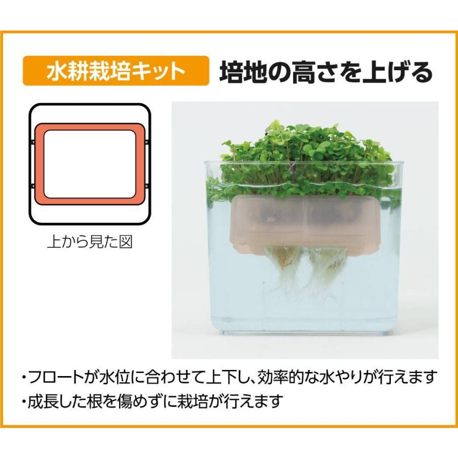 水耕栽培ユニット ベビーリーフミックス 手芸のウィングス 通販 Yahoo ショッピング