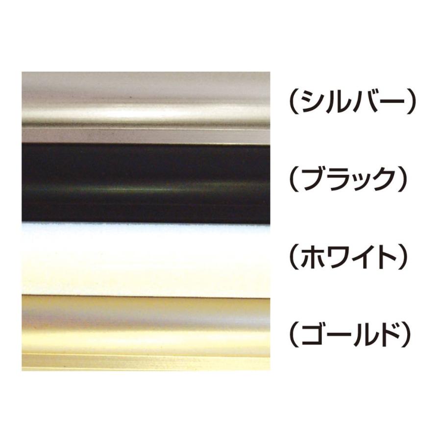 スタンダードシェイプ A4 ブラック |  | 01