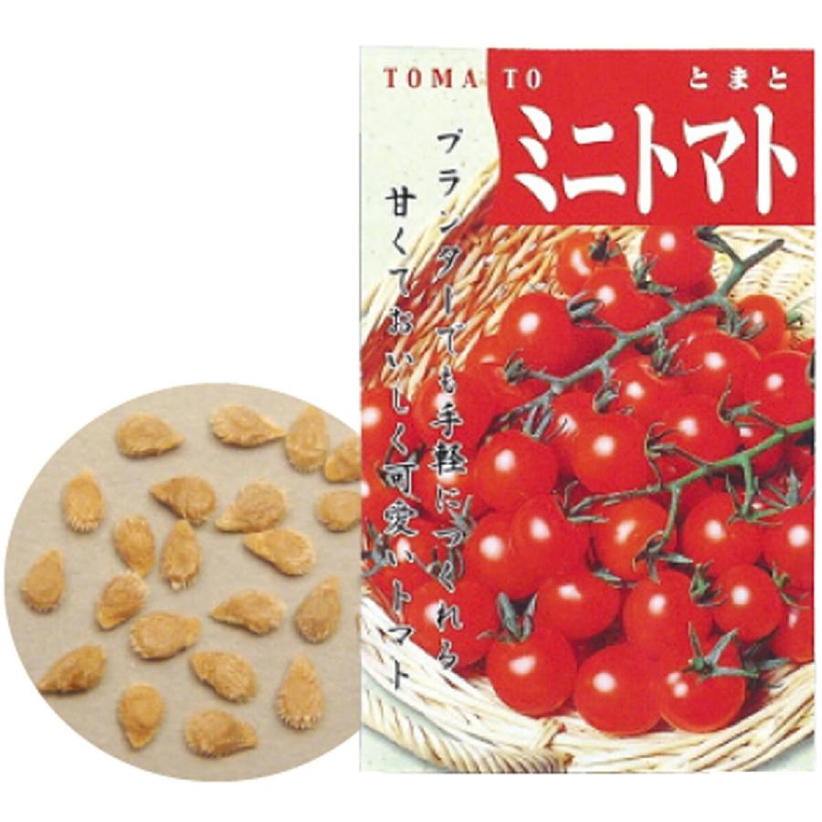野菜の種 ミニトマト | 