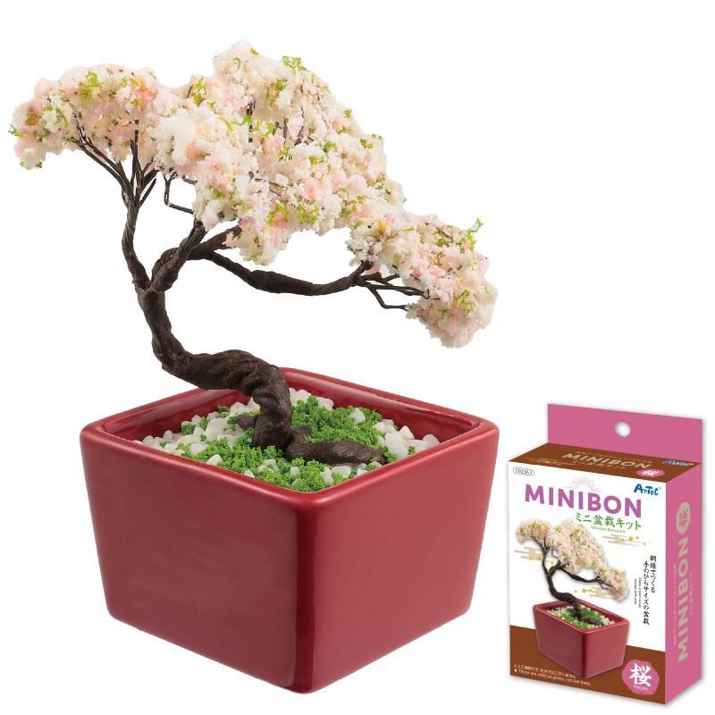 ミニ盆栽キット MINIBON 桜 : 手芸問屋ウイングス - 通販 - Yahoo
