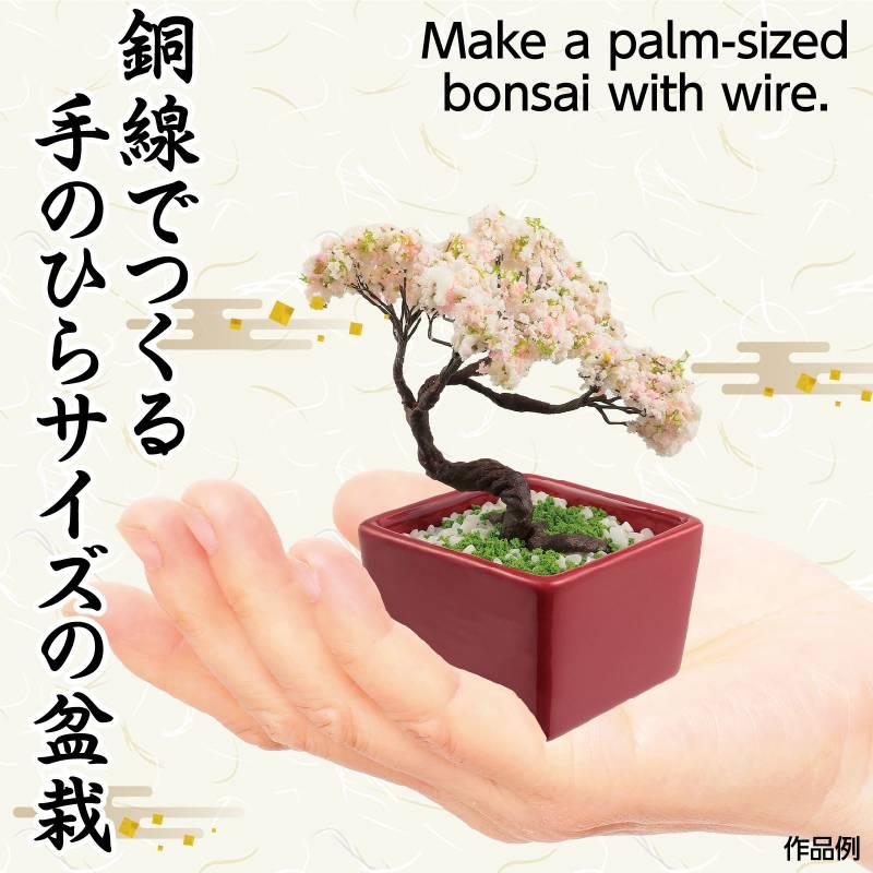 ミニ盆栽キット MINIBON 桜 : 手芸問屋ウイングス - 通販 - Yahoo
