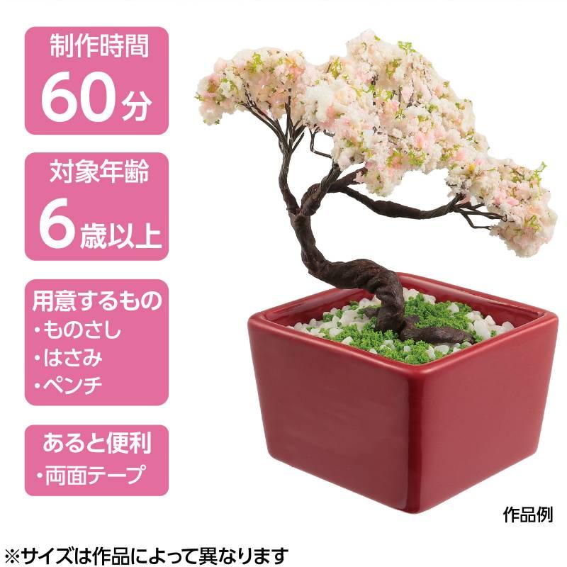 ミニ盆栽キット MINIBON 桜 : 手芸問屋ウイングス - 通販 - Yahoo