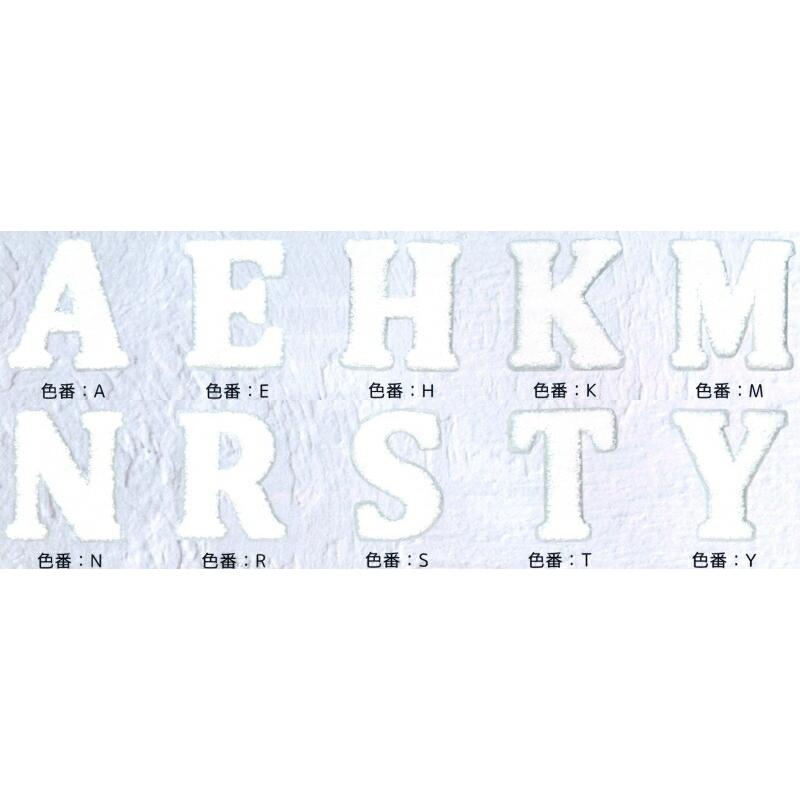 メール便ok 全10種 イニシャル アルファベット モコモコパイル ワッペン アイロン接着 ホワイト A E H K M N R S T Y Imw 02 手芸のウィングス 通販 Yahoo ショッピング
