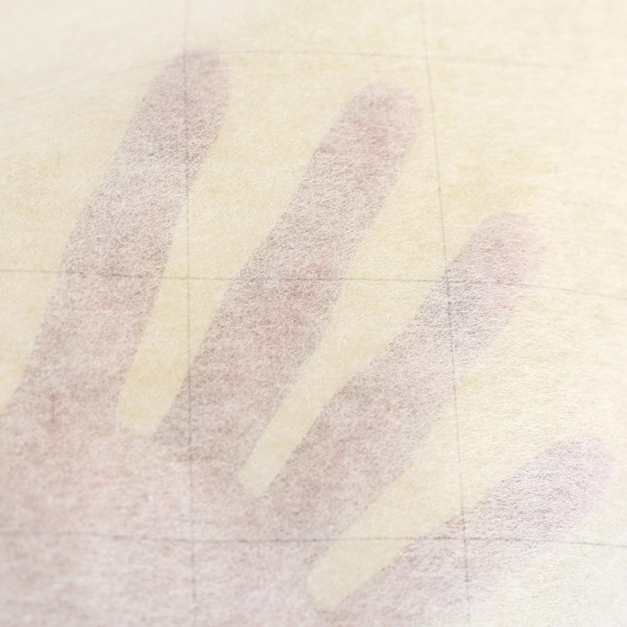 型紙用不織布 方眼メモリ 方眼あり パターントレーシングシート 国産品質 100cm巾 1M単位 バイリーン |  | 02