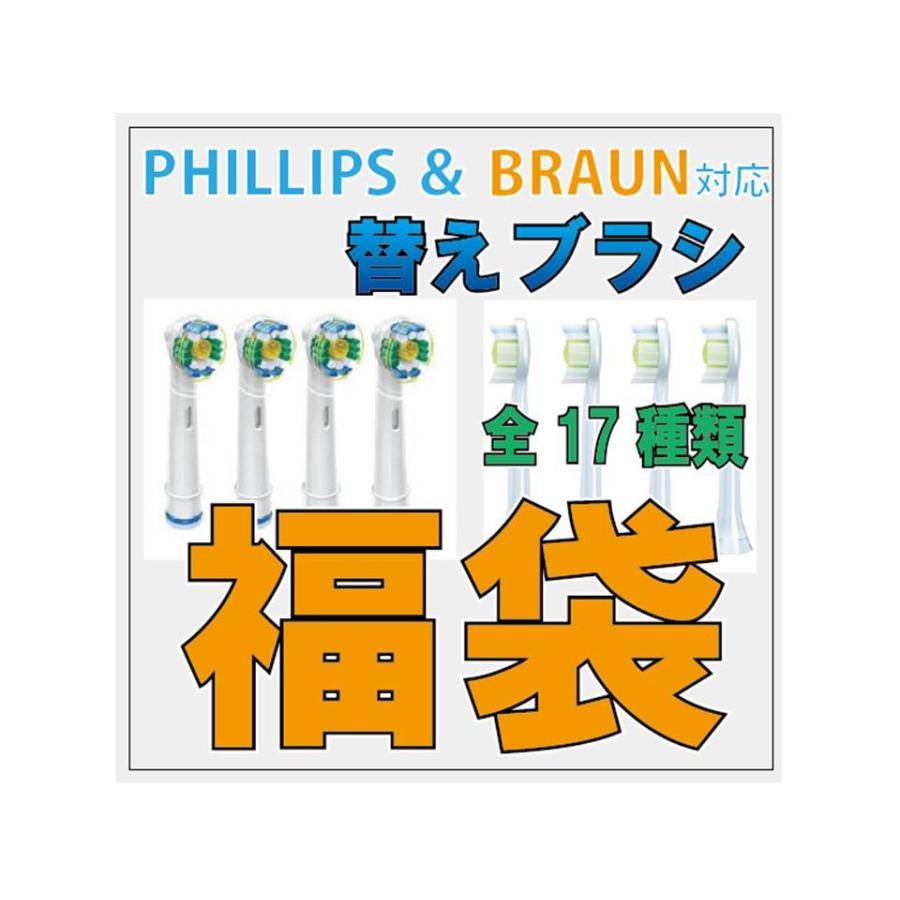 17種類　自由選択 ブラウン or フィリップス 互換 2パック（合計8本）A | 