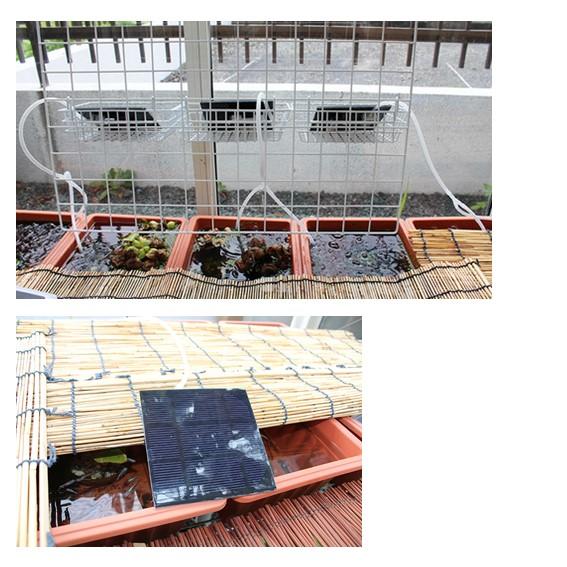 ソーラーエアーポンプ 新ハレタさん！楽々モーター交換　ハンダ付け不要 |  | 19