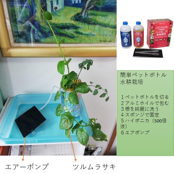 ソーラーエアーポンプ 新ハレタさん！楽々モーター交換　ハンダ付け不要 |  | 14