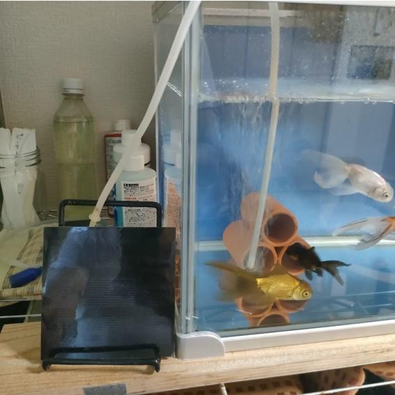 ソーラーエアーポンプ 新ハレタさん！楽々モーター交換　ハンダ付け不要 |  | 17