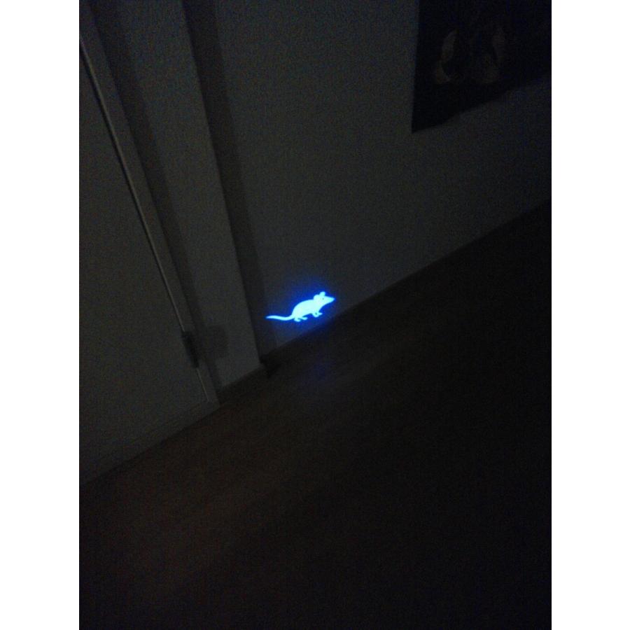 全3種　猫　ライト　”LED　ライト”　＊レーザーポインターではないです！安心安全です。　 |  | 01