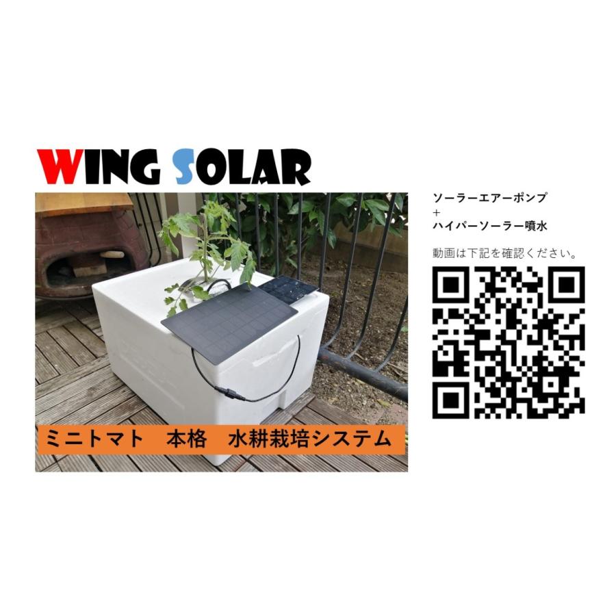 ハイブリッド ソーラー エアーポンプ 蓄電 Hsap110x110simple Wing Solar 通販 Yahoo ショッピング