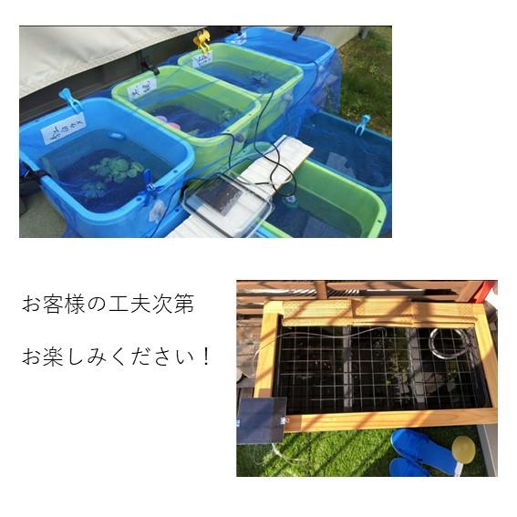 ソーラーエアーポンプ 蓄電式 メダカ エアレーション 屋外 金魚