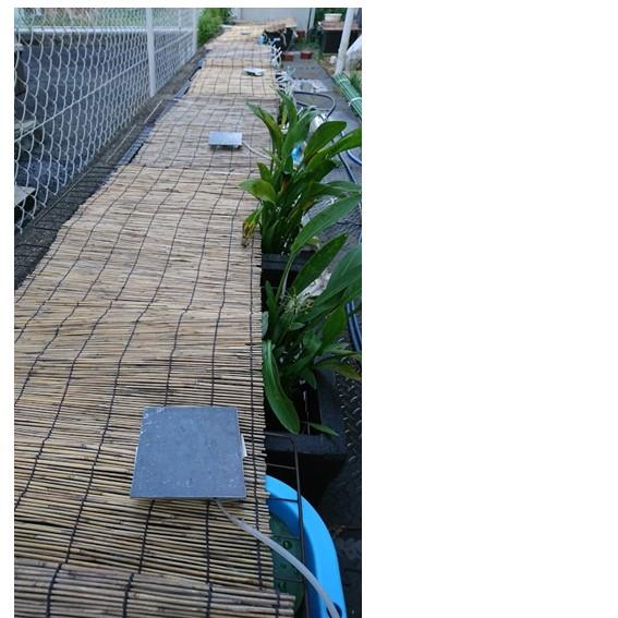 ソーラーエアーポンプ 新ハレタさん！楽々モーター交換　ハンダ付け不要 |  | 14