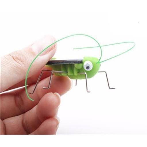 ソーラーバッタ　太陽でバッタが動き出します。 |  | 01