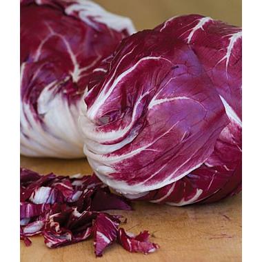 V177 Chicory Verona Red Raddichio 粒 世界の珍しい野菜の種 V177 Wing Solar 通販 Yahoo ショッピング