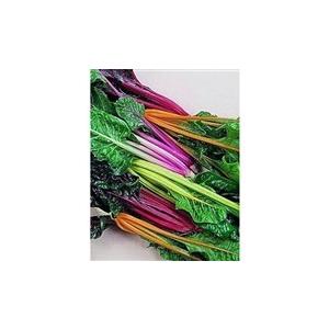 世界の珍しい花の種 野菜の種を販売しています ギガランキングｊｐ