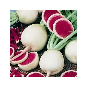 V74 B Radish Water Melon 粒 世界の珍しい野菜の種 V74seeds Wing Solar 通販 Yahoo ショッピング