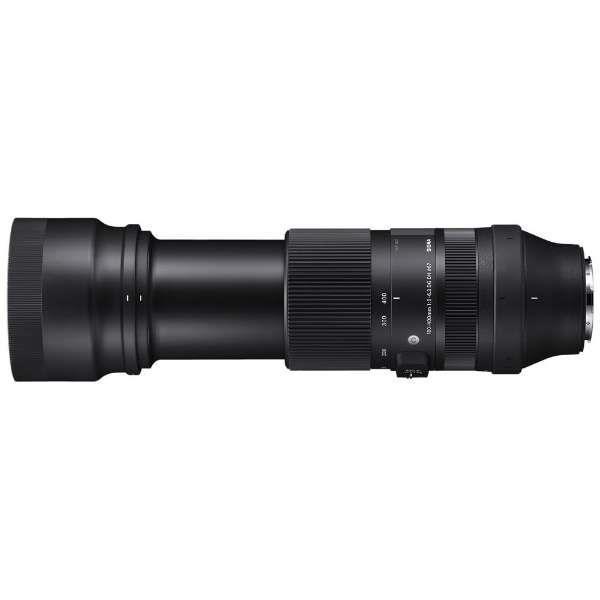シグマ（SIGMA） SIGMA 100-400mm F5-6.3 DG DN OS [ソニーE用